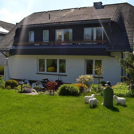 Pension Robin Hood Willingen  Exterior foto