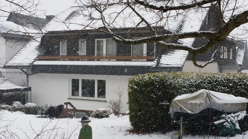 Pension Robin Hood Willingen  Exterior foto